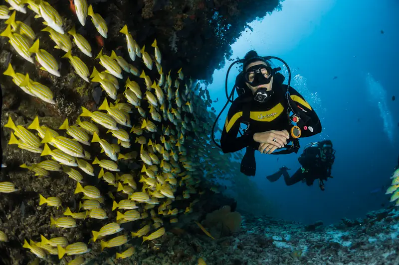 Cozumel travel and activities