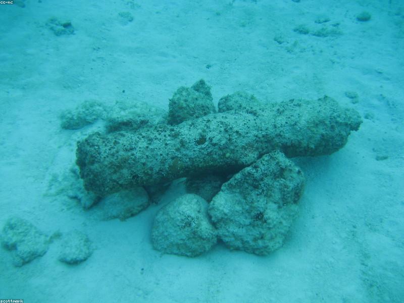Jungala Aqua Experience